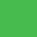 verde D069 vision bordar